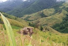 Photo of Favang Kut to be celebrated at Patpuihmun village